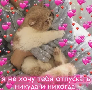 😭 emoji Любовь Telegram sticker 18 of 43