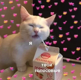 😊 emoji Любовь Telegram sticker 7 of 43