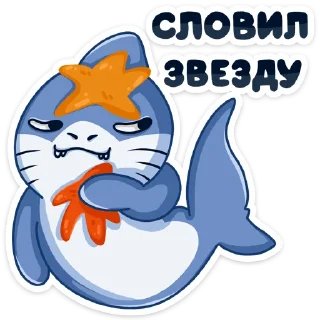 ⭐️ emoji Мистер Акул @TgSticker Telegram sticker 20 of 48
