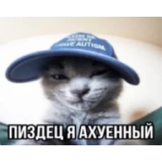 Sticker from Солянка