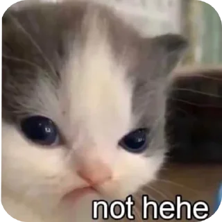 🐱 emoji Шедевр Telegram sticker 5 of 52