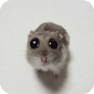 🐱 emoji Шедевр Telegram sticker 16 of 52