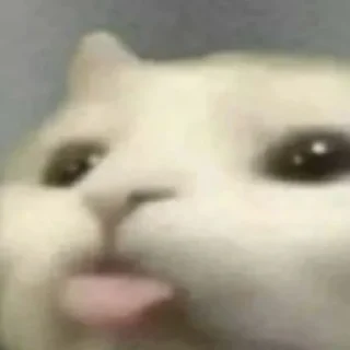 😛 emoji Хехе Telegram sticker 14 of 42