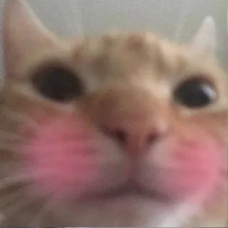 😳 emoji Хехе Telegram sticker 7 of 42