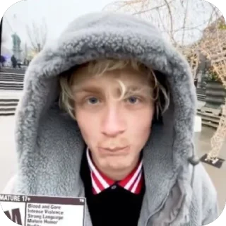 🥺 emoji joost klein Telegram sticker 8 of 66