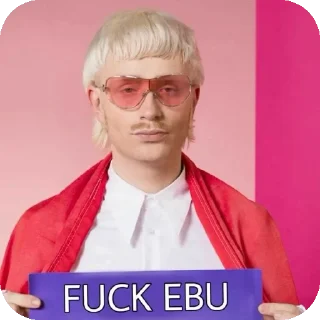🖕 emoji Joost Klein Telegram sticker 16 of 47