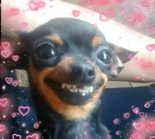 🌟 emoji собаки Telegram sticker 21 of 85