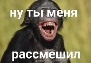 😂 emoji Что-та Telegram sticker 9 of 43
