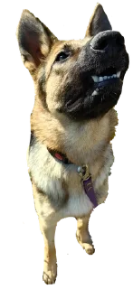 🌟 emoji кАлитка Telegram sticker 23 of 28