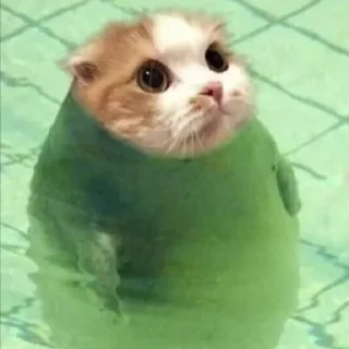 🐸 emoji коты Telegram sticker 8 of 20