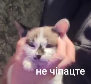 🌟 emoji Міньйон моє сонешко Telegram sticker 14 of 50