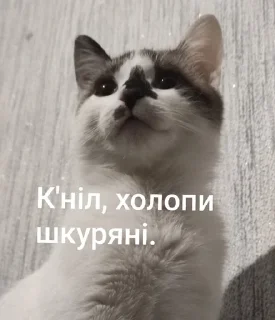 🌟 emoji Міньйон моє сонешко Telegram sticker 18 of 50