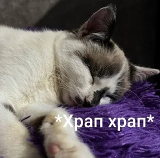 🌟 emoji Міньйон моє сонешко Telegram sticker 12 of 50