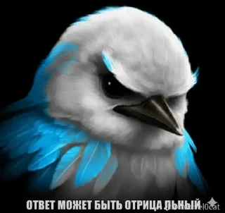 🌟 emoji Птицы Вряд-ли @Belguga332 Telegram sticker 14 of 51