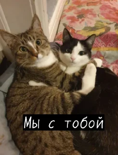 🥰 emoji bbc lovers Telegram sticker 18 of 31