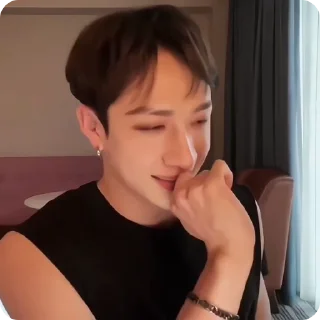 🐶 emoji Bang Chan 🫰🏻 by @mmononoaware Telegram sticker 21 of 73