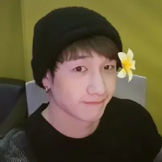 🍙 emoji bang chan 🐈🌟 Telegram sticker 15 of 92
