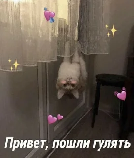 Sticker from my
