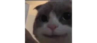 🙂 emoji карточки коммуникации Telegram sticker 8 of 120