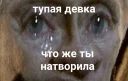 😢 emoji тупые девки блин @tupdevki Telegram sticker 17 of 26
