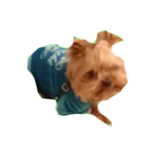 😌 emoji Дин Telegram sticker 9 of 33