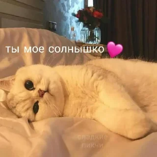 🌟 emoji Дин Telegram sticker 14 of 118