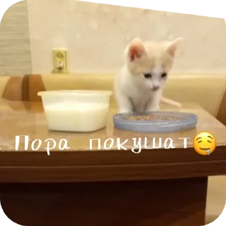 🤤 emoji Персик (Лео) Telegram sticker 6 of 9