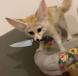 🌟 emoji Феньки fennec @monafca Telegram sticker 20 of 115