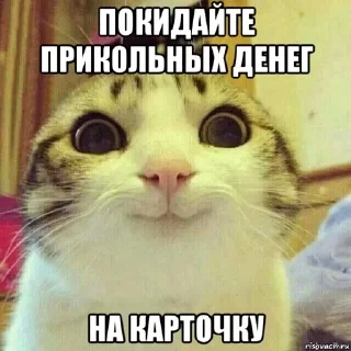 💸 emoji кристи mood Telegram sticker 5 of 44