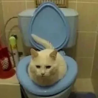 🚽 emoji Стикер пак от @Velgit_woh Telegram sticker 22 of 101