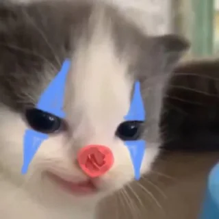 🤡 emoji ха ну ти лох Telegram sticker 7 of 44