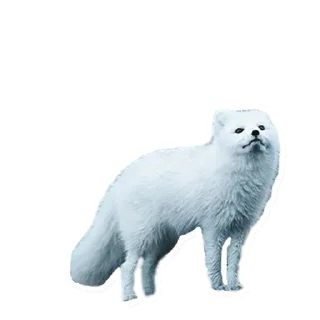 😏 emoji Beautiful Smiles Telegram sticker 18 of 72