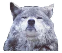 😐 emoji Beautiful Smiles Telegram sticker 17 of 72