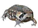 😤 emoji Beautiful Smiles Telegram sticker 19 of 72