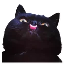 😛 emoji Beautiful Smiles Telegram sticker 10 of 72