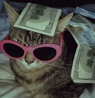 💰 emoji котики лины Telegram sticker 18 of 25