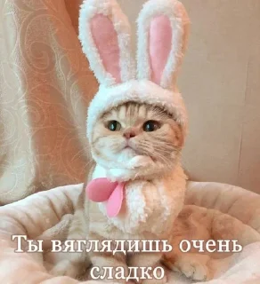 Sticker from котики от лины