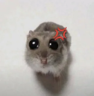 Sticker from pions & eli hamster