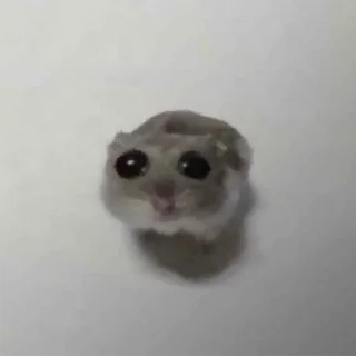 😳 emoji принцесса лися Telegram sticker 18 of 22