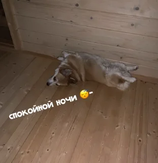 😴 emoji ЛЕОНИДДД Telegram sticker 5 of 41