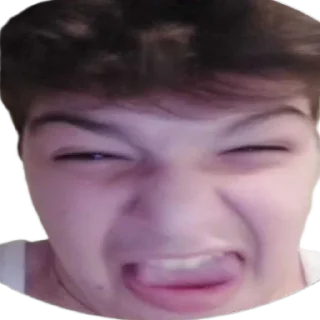 🐳 emoji Домик Луишки Telegram sticker 10 of 68