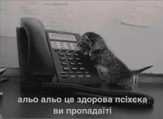 ☎ emoji картиночки Telegram sticker 21 of 70