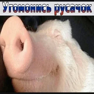 😏 emoji Боевые картиночки Telegram sticker 9 of 106