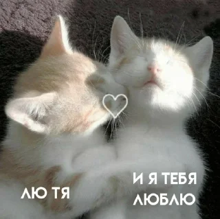 ❤️ emoji Галюндель Telegram sticker 5 of 10