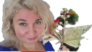 🌟 emoji Лена и Ваня LIFE Telegram sticker 12 of 69