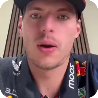 😱 emoji f1 grid like a totem animals Telegram sticker 22 of 94