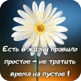 🌼 emoji люб Telegram sticker 21 of 46