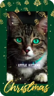 Sticker from C новым годом! @Cathouse_mrr