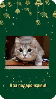 😀 emoji C новым годом! @Cathouse_mrr Telegram sticker 5 of 26