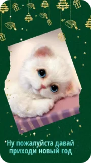 🙏 emoji C новым годом! @Cathouse_mrr Telegram sticker 12 of 26